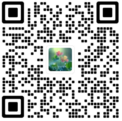 China Legal Science杂志模板